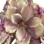 Alma Castrejon ♥ - Instagram Profile Picture of Alma Castrejon ♥ (@almacastrejon_) on Instagram