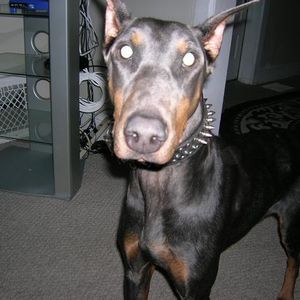 Profile Picture of John Markin (@226194688) on Myspace