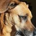 Profile Picture of Beverly Peck (@beverly.peck.90) on Facebook