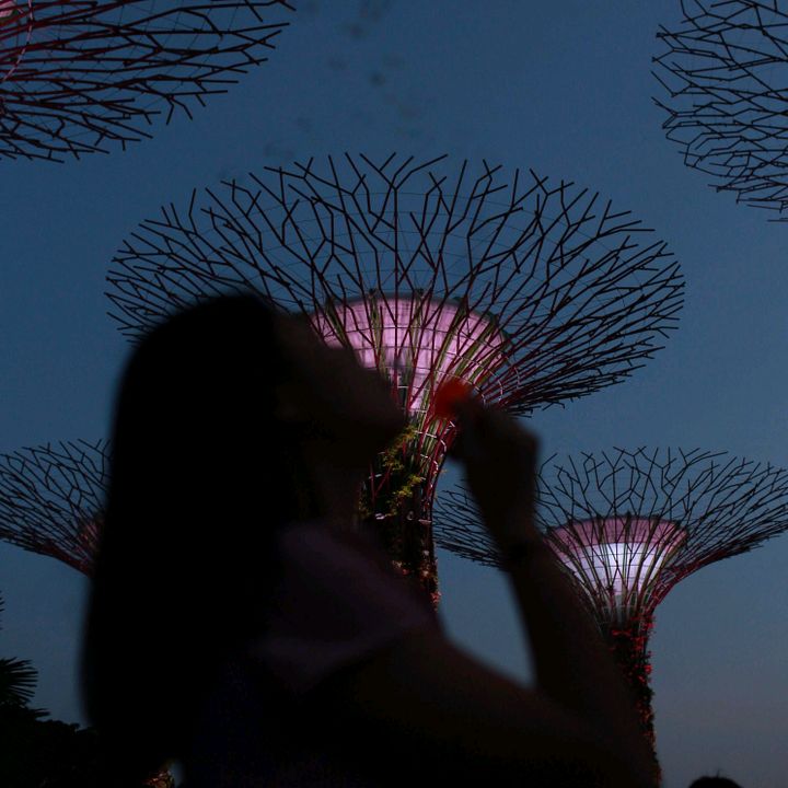 Profile Picture of Michelle Ruey (@michelleruey) on Tiktok