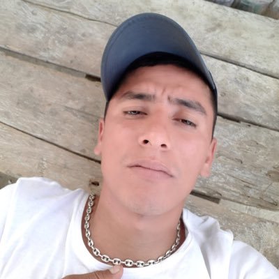 Profile Picture of Rogelio Bermudez Andrade (@rogelio35201628) on Twitter