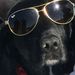Profile Picture of NORA BENSON (@benson5921) on Pinterest