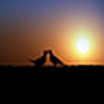 Profile Picture of Shaden Ahmad Al.khalaf (@shaden al-khalaf) on Flickr