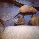 Profile Picture of Clack (@jeremyqd) on Instagram