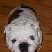 Profile Picture of Devin Stiles (@devin92) on Pinterest