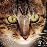 Profile Picture of marie_miao (@marie_miao) on Instagram
