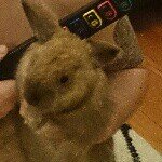 Profile Picture of Damon Thompson-Quinn (@damosdef) on Instagram