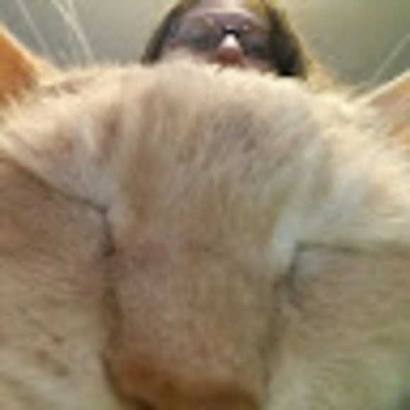 Profile Picture of Pauline Danley-cox (@paulinedanle444) on Poshmark