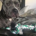 Profile Picture of Robert Walden (@robetwalden080408) on Instagram