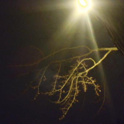 Profile Picture of Christopher Wier (@ChrisGW84) on Twitter