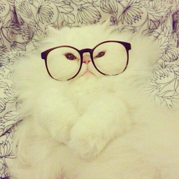 Profile Picture of Holly Sharbono (@kittypop88) on Poshmark