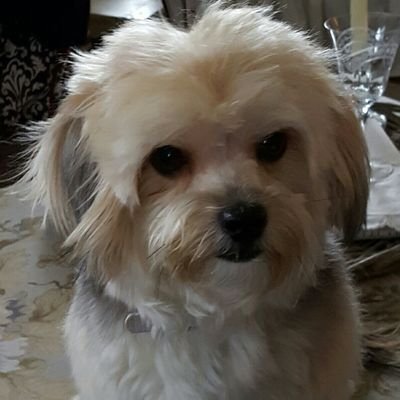 Profile Picture of Robert E Yonkers (@RobertYonkers) on Twitter