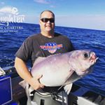 Profile Picture of Mark Osborne (@bullosborne) on Instagram