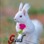 Profile Picture of Pushparaj kumar maurya (@pushprajkumar590) on Instagram