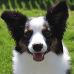 Profile Picture of Doug “TD” Brunson (@bddoug2) on Instagram