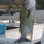 Profile Picture of Carl West (@Carlwest1972) on Facebook