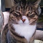 Profile Picture of Diane Tuttle (@diane.s.tuttle) on Instagram