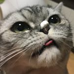 Profile Picture of 신희 SHINHEE (@im.sini) on Instagram