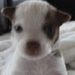 Profile Picture of Darrell Janssen (@xdm5345) on Pinterest
