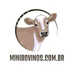 Mini Bovinos Sp/Brasil - Instagram Profile Picture of Mini Bovinos Sp/Brasil (@minibovinos) on Instagram