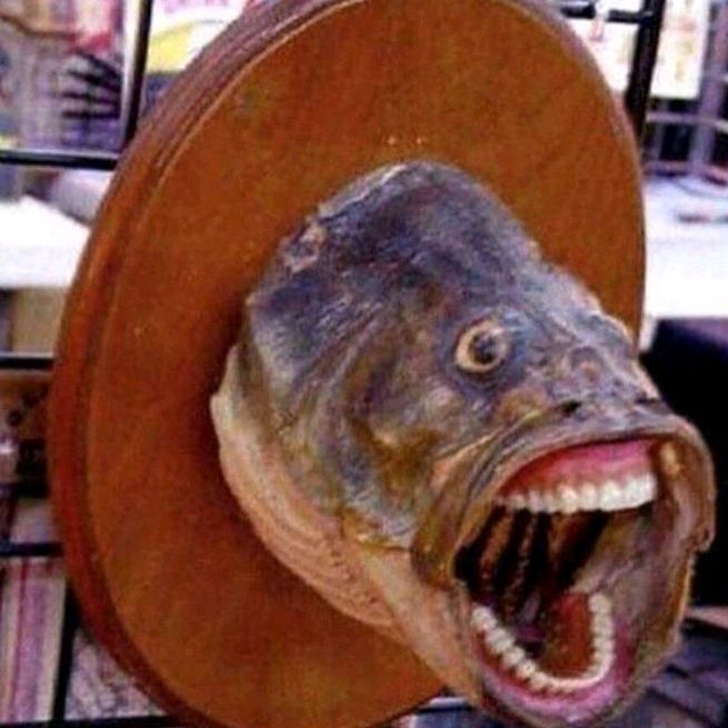 Profile Picture of Brian (@brian_eriksson) on Tiktok