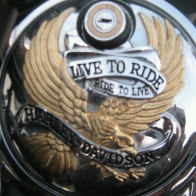 Profile Picture of Misty Vincent (@MistyV37) on Twitter