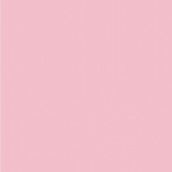 Profile Picture of Jazmyn Johnson (@jazmynj222) on Poshmark