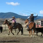 Profile Picture of Gene Murchison (@gene.murchison) on Facebook