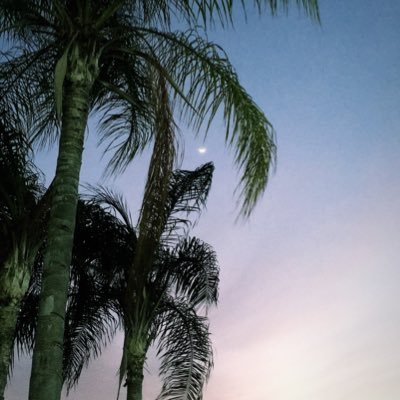 Profile Picture of Jose Wilson (@pro_josewilson) on Twitter