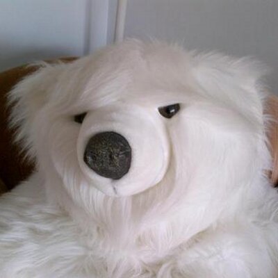 Profile Picture of Ken Yesh (@kenyesh) on Twitter