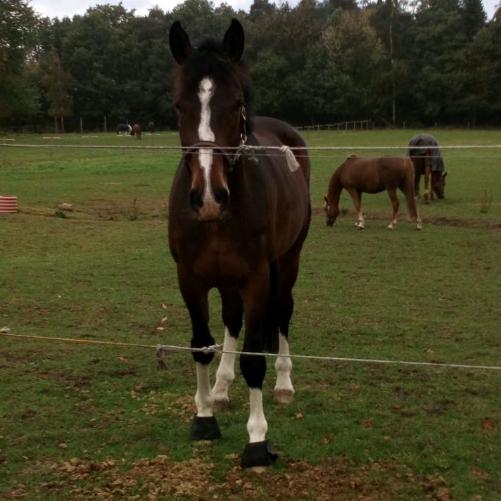 Profile Picture of kevin (@kevingarst11) on Tiktok