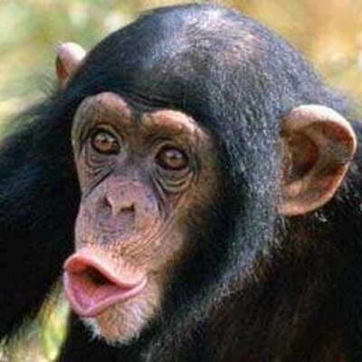 Profile Picture of BRUNO RIVERA (@b_rivera16) on Twitter