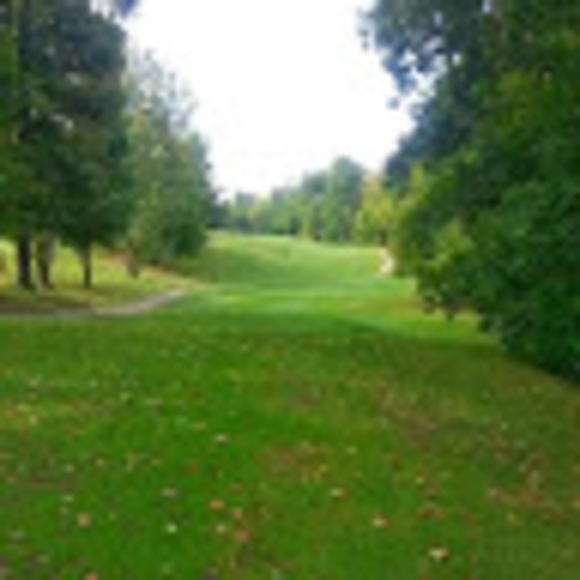 Profile Picture of Cliff Vanderwyst (@cliffvanderwyst) on Poshmark