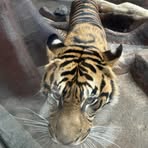 Profile Picture of Frederick Barr (@Frederick-Barr) on Facebook