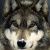 Profile Picture of Glenn Wooley (@glennaw472010) on Pinterest