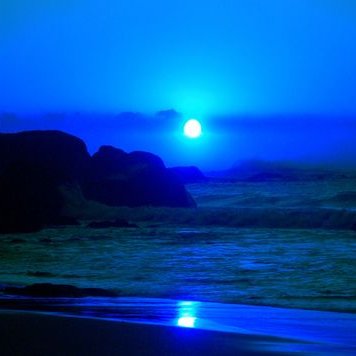 Profile Picture of Silent Party Records (@BenjaminMangum) on Twitter