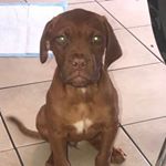 Profile Picture of Kevin Nussey (@kevinnussey) on Instagram