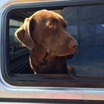 Profile Picture of Andrew Radley (@andrew.radley.92) on Instagram