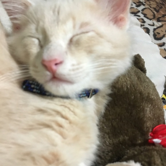 Profile Picture of Griselda Suarez (@gris727) on Poshmark