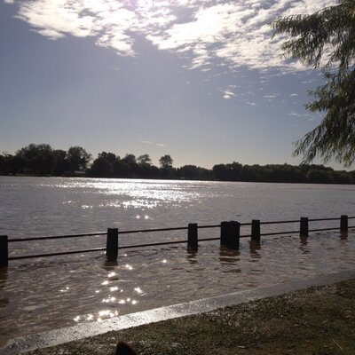 Profile Picture of Patricia Borensztejn (@patricia_miriam) on Twitter