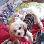 Profile Picture of Juan Steenberg (@juan.steenberg.5) on Facebook