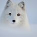 Profile Picture of Joëlla de Jager (@joellajager) on Pinterest