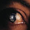 Profile Picture of In a Pig's Eye (@In a Pig's Eye) on Flickr