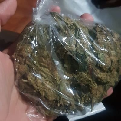 Profile Picture of Palomo (@Jeremy78434920) on Twitter