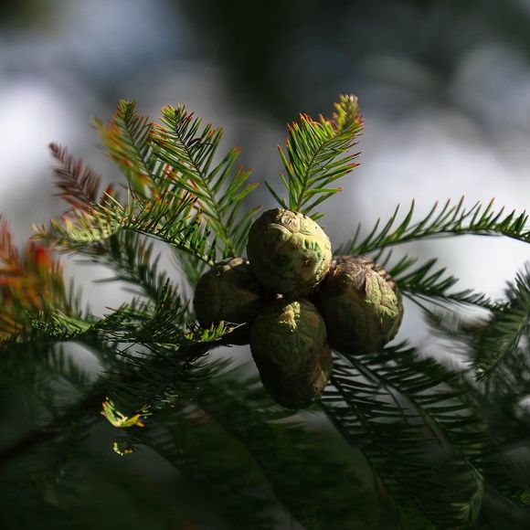 Profile Picture of Denise Duplinski (@dduplinski) on Poshmark