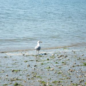 Jose Juliano - Myspace Profile Picture of Jose Juliano (@207021806) on Myspace