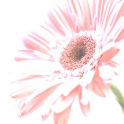 Profile Picture of Sofia Carlsson (@ssofiiiaa) on Twitter