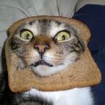 Profile Picture of Jaden christopher Harris-Lott (@jadensaladin) on Instagram