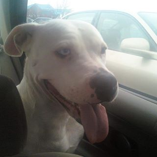 Profile Picture of Lisa Gowins (@6.2Lisa) on Facebook