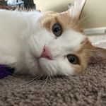 Profile Picture of Carter Jaskolka (@jaskolkacarter) on Instagram